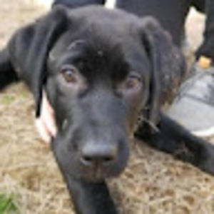 Meet your Posher, Maddy